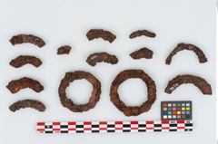 Foto von Eisenring (NHMW-PRAE-002278)